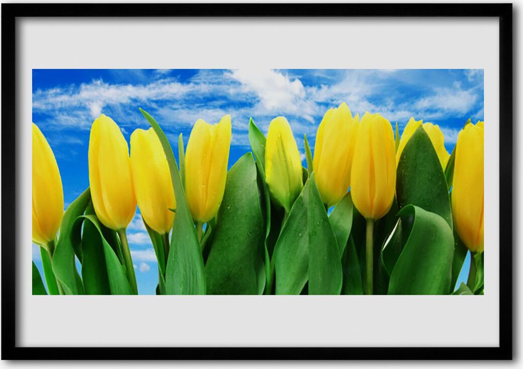 Bild 70x50 MDF-Rahmen Wandkunst Tulpen Blumen