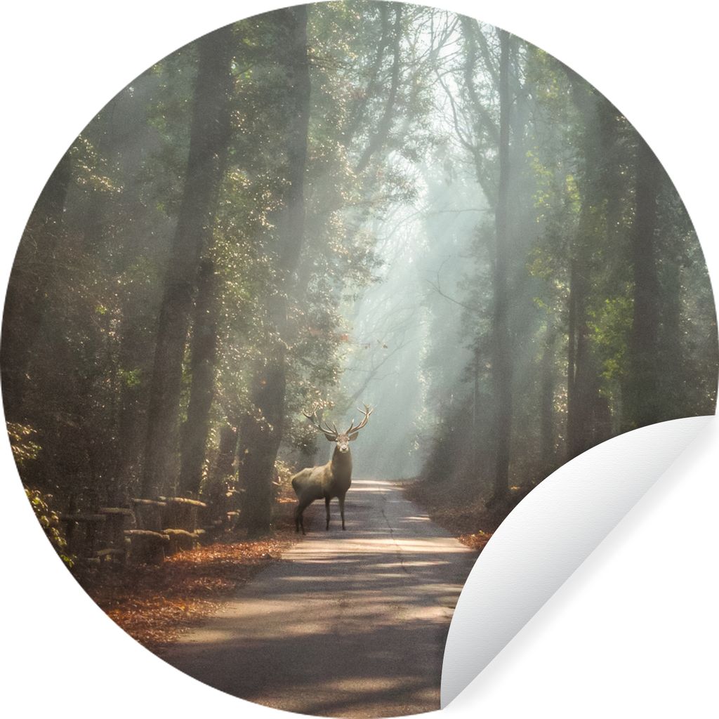 MuchoWow Runde Wandtattoo - Wandsticker Tapete Aufkleber Hirsche - Wald - Sonnenstrahlen Ø 80 cm Selbstklebend und Repositionierbar - Wandaufkle...