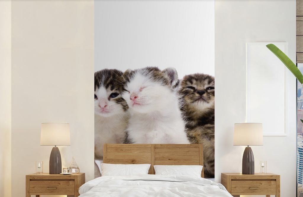 MuchoWow Fototapete für Wohnzimmer oder Schlafzimmer Wandtapete Vinyl Motivtapete Katze - Haustiere - Fell - Porträt - 120x240 cm - Hintergrund...