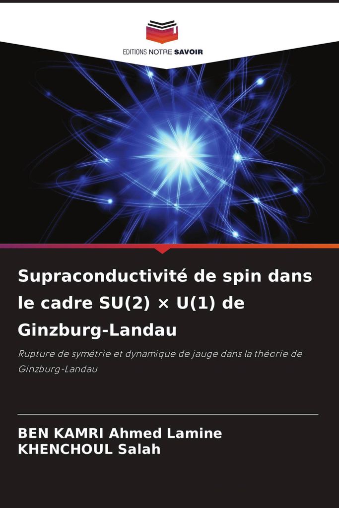 Supraconductivité de spin dans le cadre SU(2) × U(1) de Ginzburg-Landau