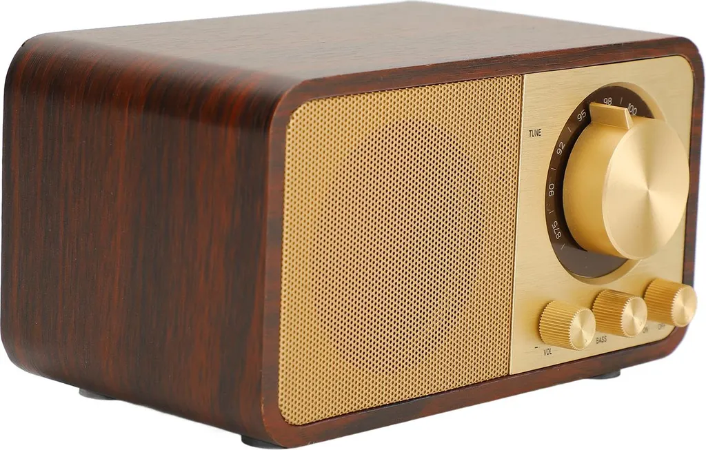 Mini Enceinte Bluetooth Bois - Qualité Sonore Hi-Fi et Design Compact
