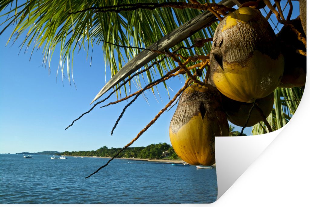 MuchoWow - Wierderverwendbar - Selbstklebend