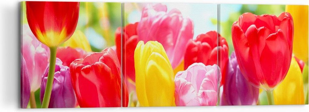 Bild auf Leinwand - Leinwandbild - Tulpe Blume Garten Plantage - 120x40cm - Wand Bild - Wanddeko - Leinwanddruck - Bilder - Kunstdruck - Wanddekora...