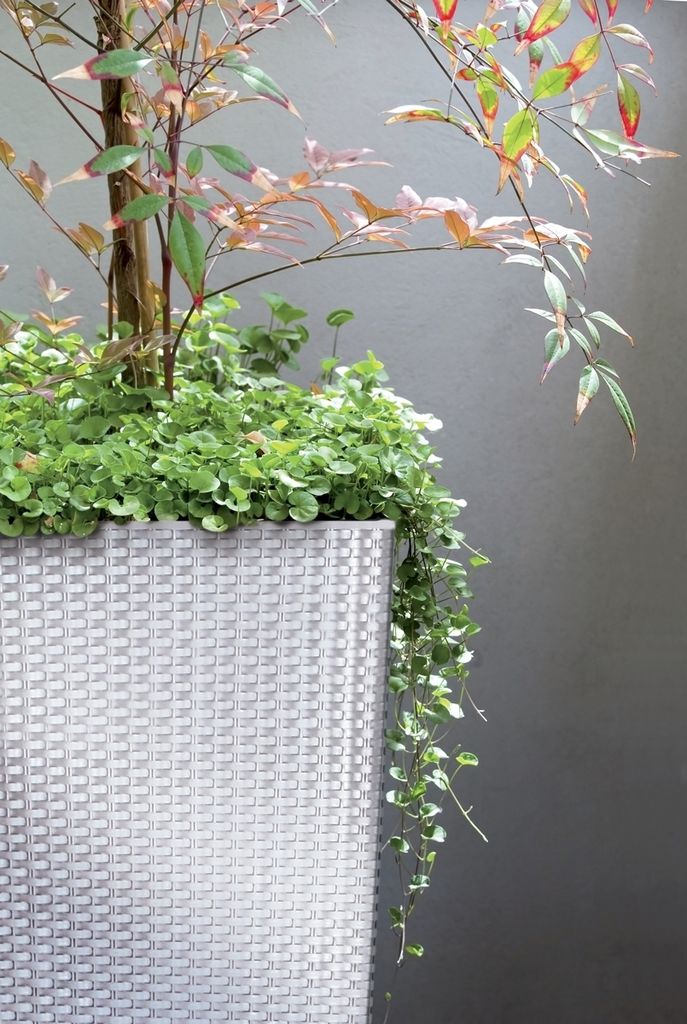 Blumentopf + Einsatz Blumenkübel Rattan RATO SQUARE DRTS170 Produktbild 19