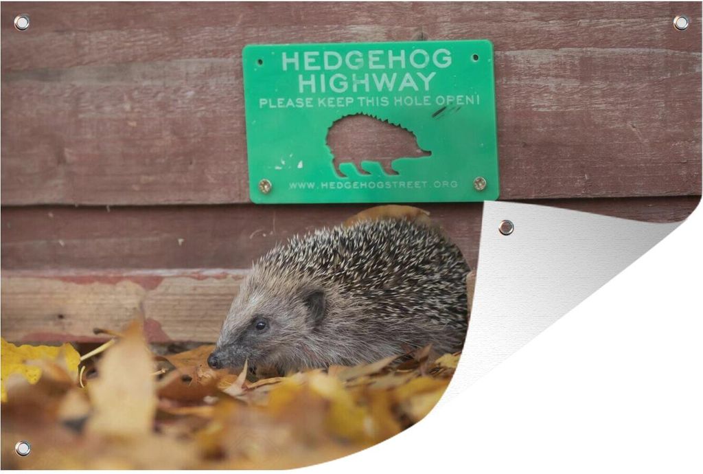 MuchoWow 60x40 cm Outdoor-Poster Gartendeko Sichtschutz Garten Poster für den Garten Igel läuft durch den Zaun