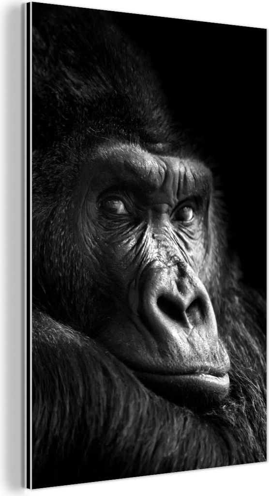 MuchoWow Wanddekoration Metall Metallbild Wandkunst 100x150 cm Gorilla - Affe - Schwarz - Weiß - Porträt MuchoWow Aluminium Gemälde - Bild