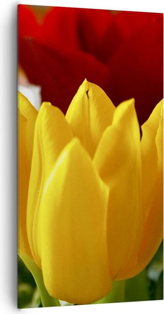 Bild auf Leinwand - Leinwandbild - Tulpen Vase Blumenstrauß - 65x120cm - Wand Bild - Wanddeko - Leinwanddruck - Bilder - Kunstdruck - Wanddekorati...