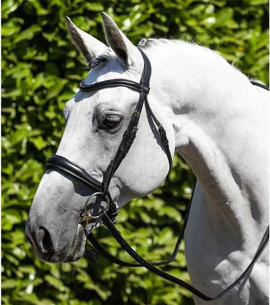 Bridon Verdura Premier Equine en cuir noir souple pour poney