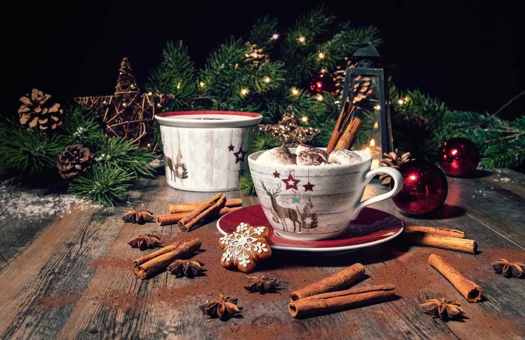 Seltmann Weiden Life Christmas Kombiservice 30-teilig