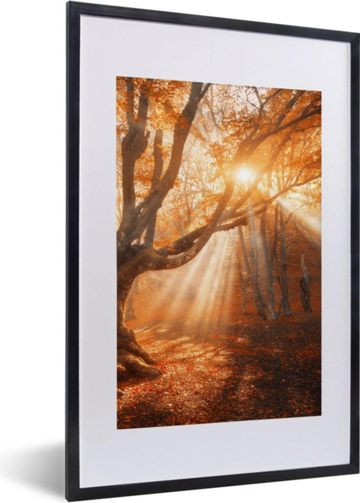 MuchoWow Gerahmtes Poster Baum - Natur - Herbst 40x60 cm - Poster mit Schwarzem Bilderrahmen Wandposter Rahmen Foto Bilder - Poster in Rahmen