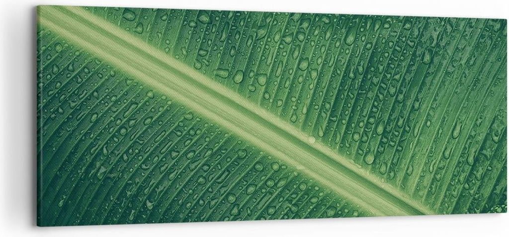 Bild auf Leinwand - Leinwandbild - Einteilig - Makro Blatt Tropfen - 120x50cm - Wand Bild - Wanddeko - Wandbilder - Leinwanddruck - Bilder - Wandde...