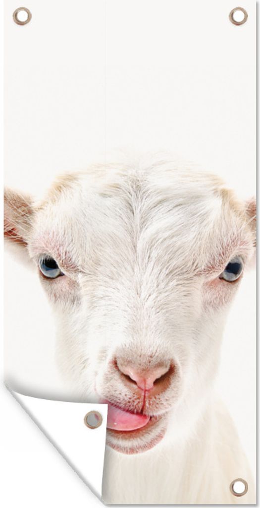 MuchoWow 80x160 cm Outdoor-Poster Gartendeko Sichtschutz Garten Poster für den Garten Ziege - Porträt - Junge - Mädchen - Kinder - Weiß