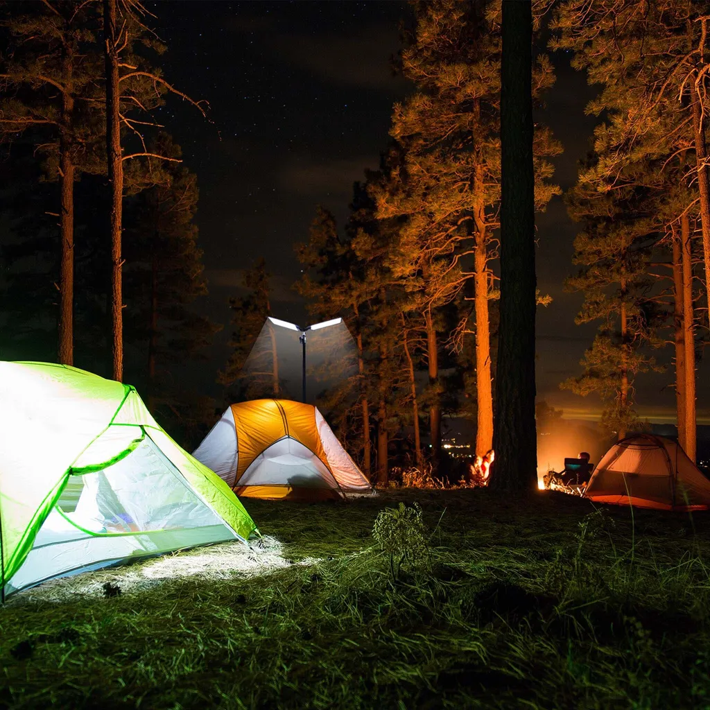 Lampe LED Extérieure pour Camping et Excursion 12V avec Mât Ajustable - 2