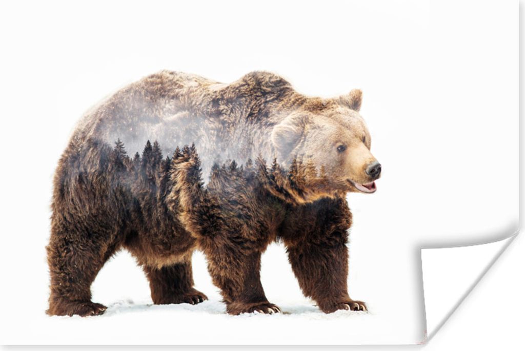 MuchoWow Poster Mehrfachbelichtung eines Bären und eines Waldes 180x120 cm - Fotoplakat