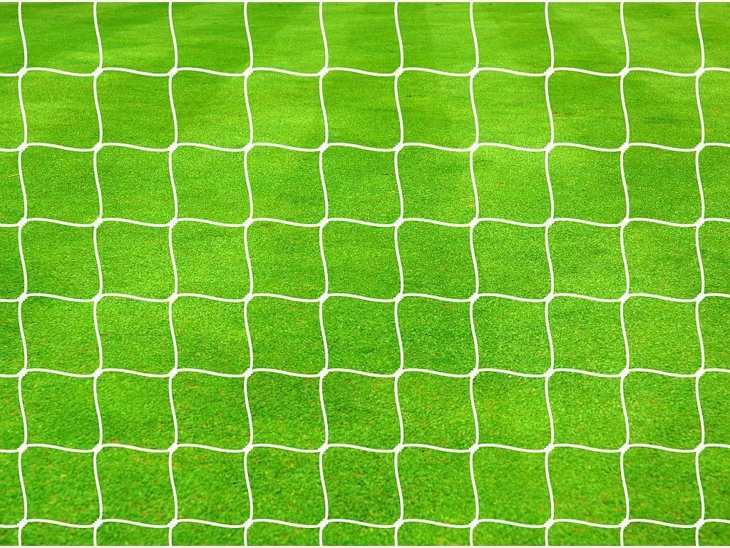 Filet foot tressé blanc RD3228 en polypropylène 7.32x2.44m - Pack de 2