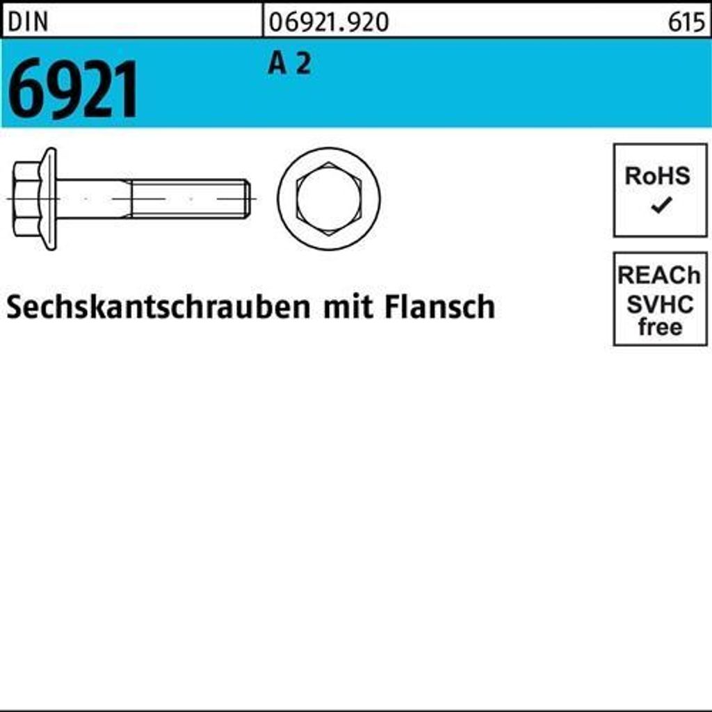 Reyher 6kt.schr. mit Flansch DIN 6921 A 2 M 6 x 45 (200 Stück)
