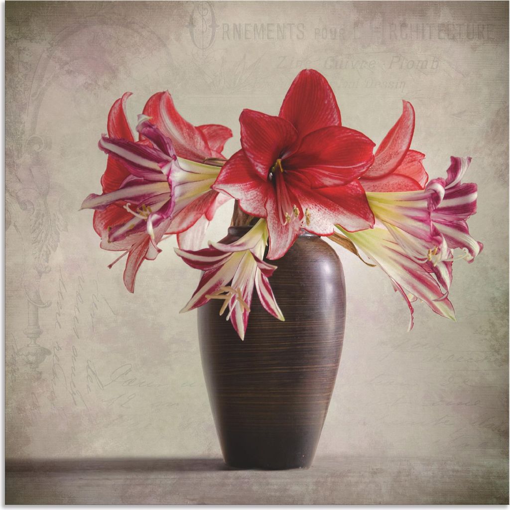 ARTland Wandbild Alu für Innen & Outdoor Amaryllis Vintage II Größe: 50x50 cm