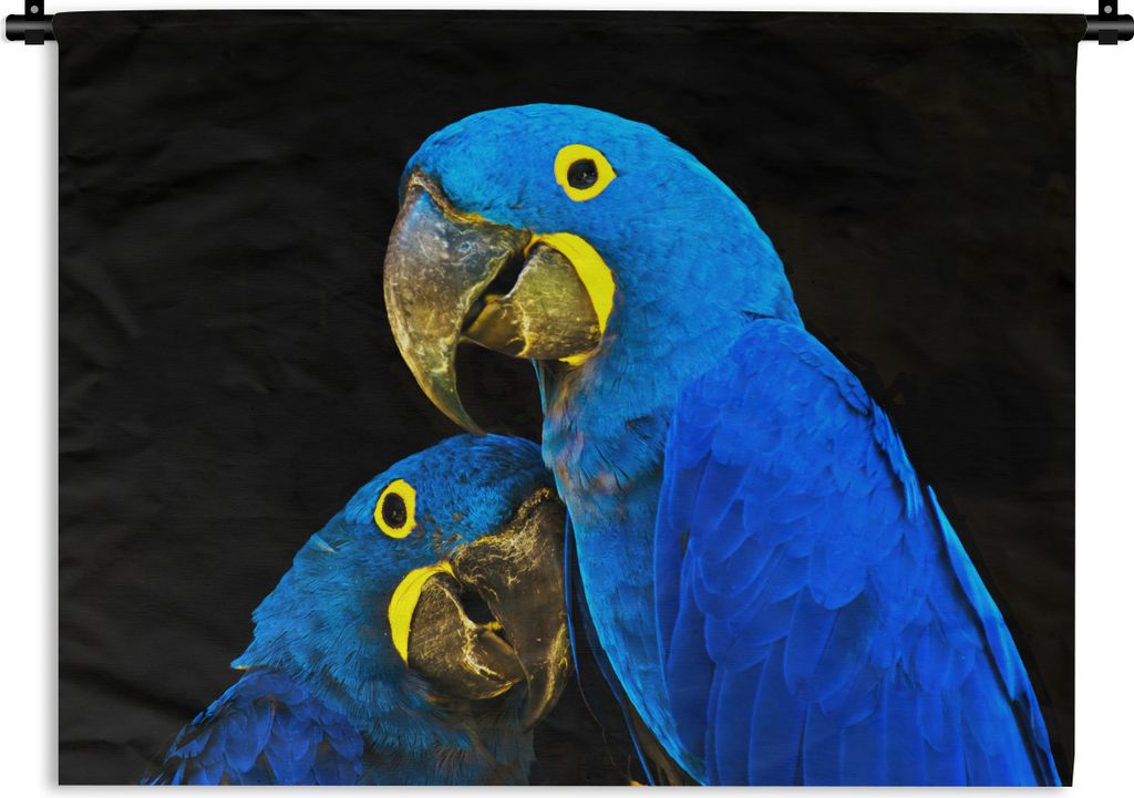 MuchoWow Wandteppich Wandbehang Papagei - Vogel - Federn - Blau 120x90 cm Tapisserie Dekoration Wandtuch - Wohnen - Aufhänger für die Wand