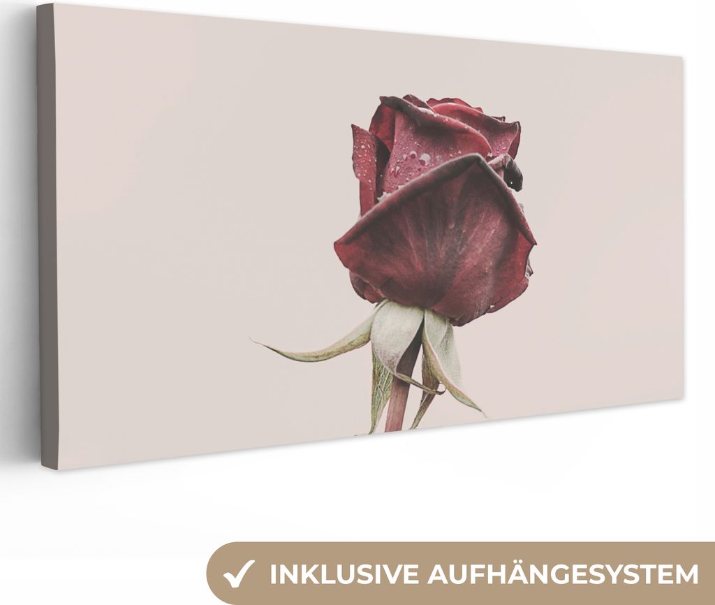 MuchoWow - Leinwandbilder - Blumen - Rot - Rosen - Grün, Wandbild, Wanddeko Bilder Wohnzimmer, 80x40 cm