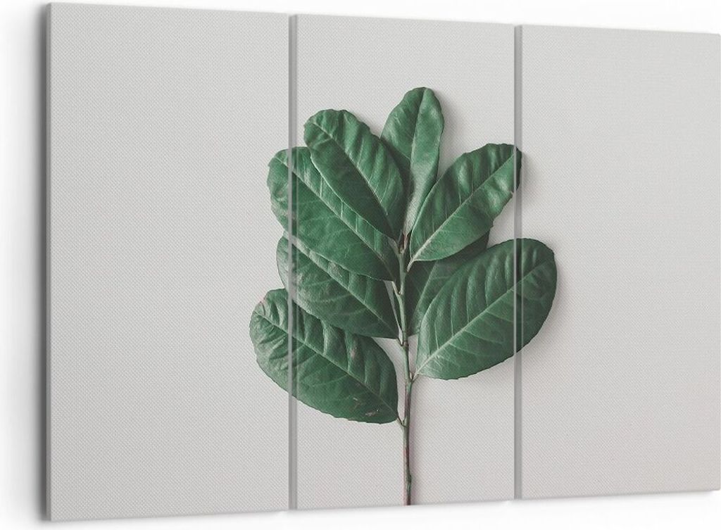 Bild auf Leinwand - Leinwandbild - 3 Teile - Blätter Pflanzen Botanik - 105x70cm - Wand Bild - Wanddeko - Wandbilder - Leinwanddruck - Bilder - Wa...