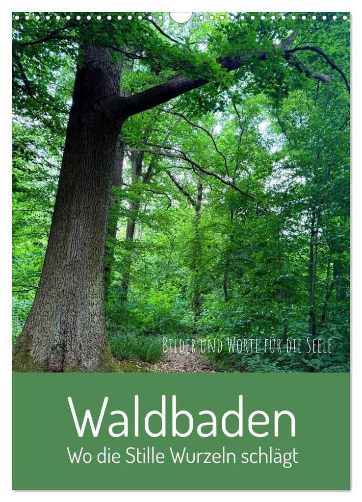 Waldbaden – Wo die Stille Wurzeln schlägt (Wandkalender 2027 DIN A3 hoch), CALVENDO Monatskalender