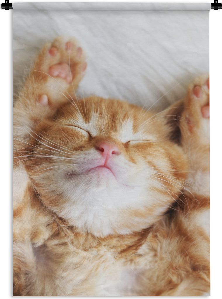 MuchoWow Wandteppich Wandbehang Katze - Rot - Haustiere - Kätzchen 120x180 cm Tapisserie Dekoration Wandtuch - Schlafzimmer - Dekorationen für ...