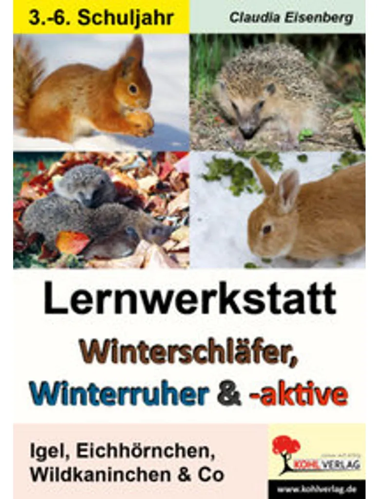Maison d'hibernation pour petits animaux sauvages de jardin 40cm