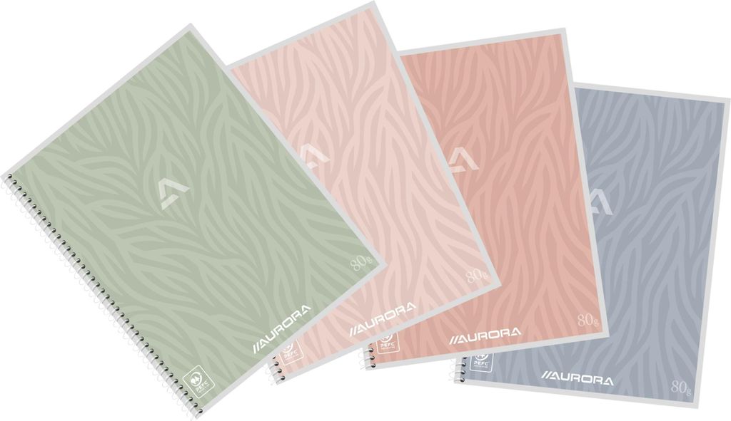 Quantore Notizbuch Aurora A5 Linie 120 Seiten