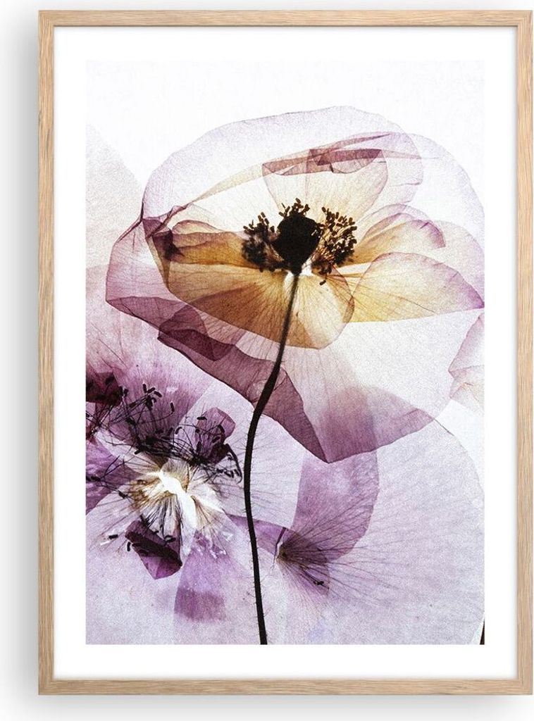 Gerahmtes Poster - Rahmen in heller Eiche - blume sommer natur - 50x70 cm - Wand Bild - Wanddeko - Wandbilder - Wandposter - Bilderrahmen - Bilder ...