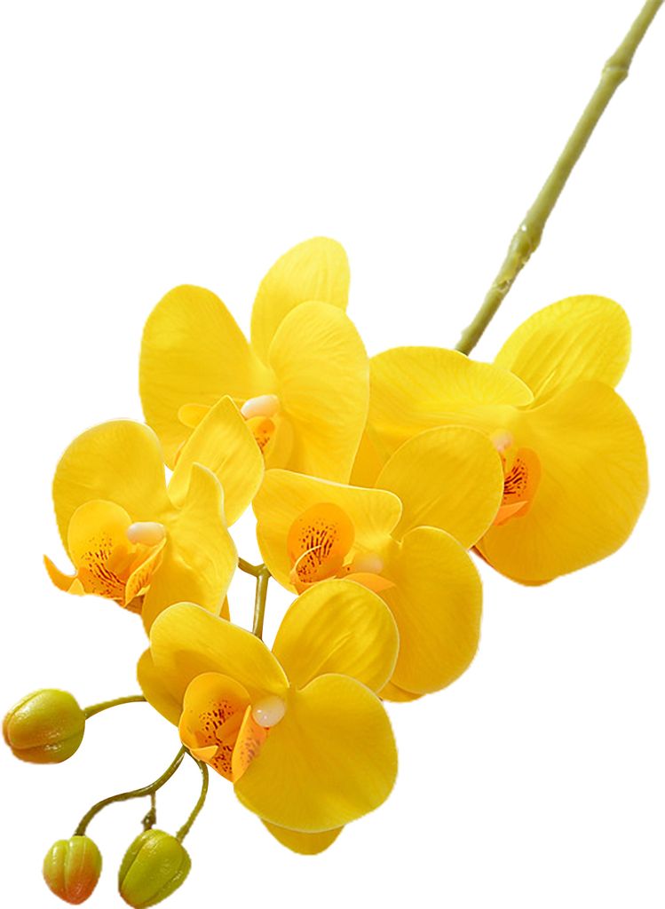 Künstliche Mottenorchideen mit Stiel, realistische 5-köpfige Phalaenopsis-Blume, Tischdekoration für Zuhause und Büro, Kunstblumenzweig, Blumen...