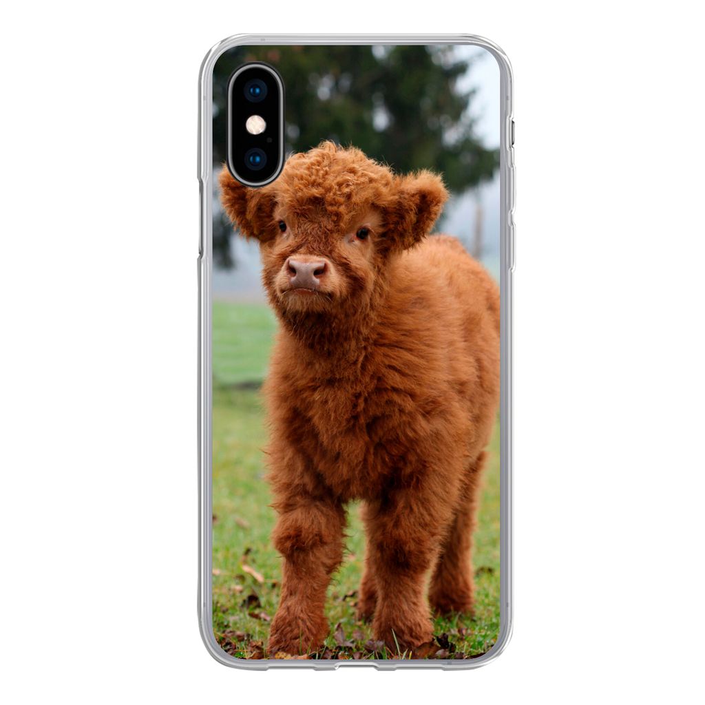MuchoWow Handyhülle Schutzhülle Hülle für iPhone X Scottish Highlander - Kalb - Gras Silikon Softcase Handy Hülle - Handyhülle