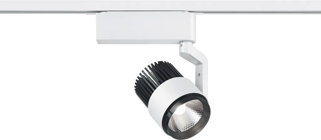 Projecteur DUOLINE LHT Blanc Spot de Plafond pour Zones Sombres 23 cm