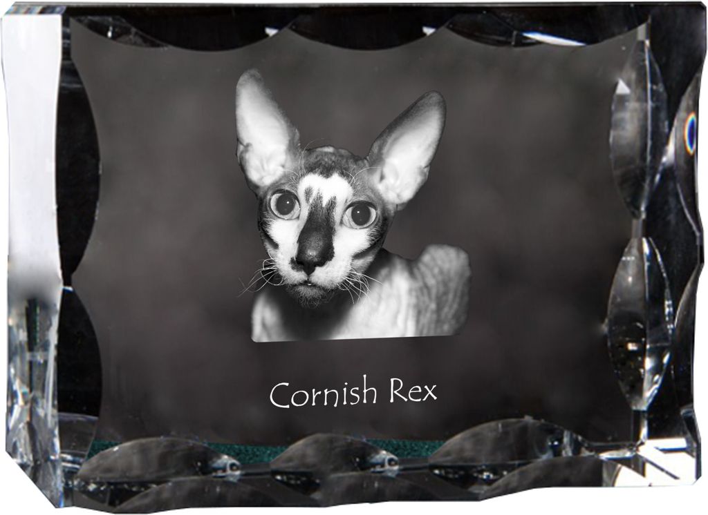 Cornisch Rex - Kristall mit Katzenbild, Glasstatuette mit Bild, einzigartiger Bilderrahmen der Marke Art-Dog