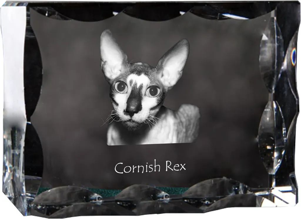 Cornish Rex Cristallo con Immagine Gatto Art-Dog | Statuetta Vetro Lusso
