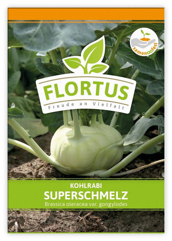 Artikelbild 1 von 'Kohlrabi Superschmelz' aus der Kategorie Kohlrabisamen