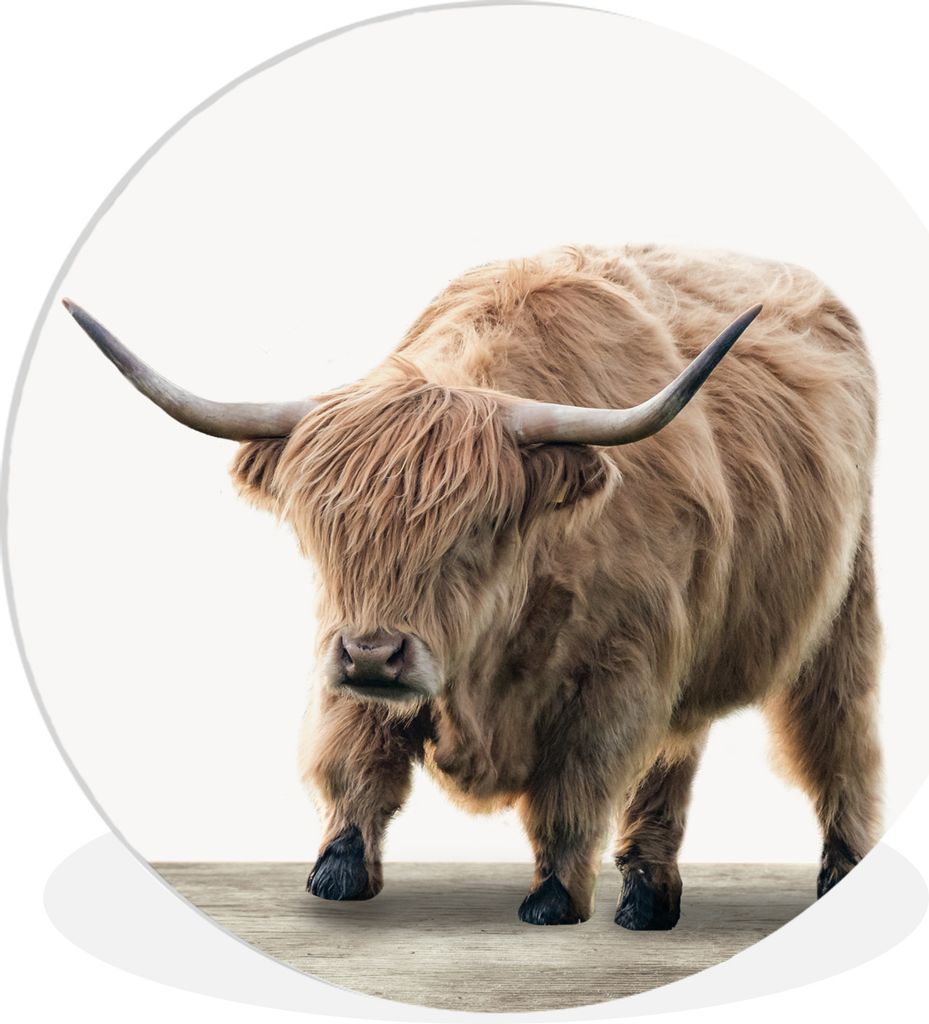 MuchoWow® - Schlafzimmer - Bilder - Der Kreis - Kunst für Produktbild 
