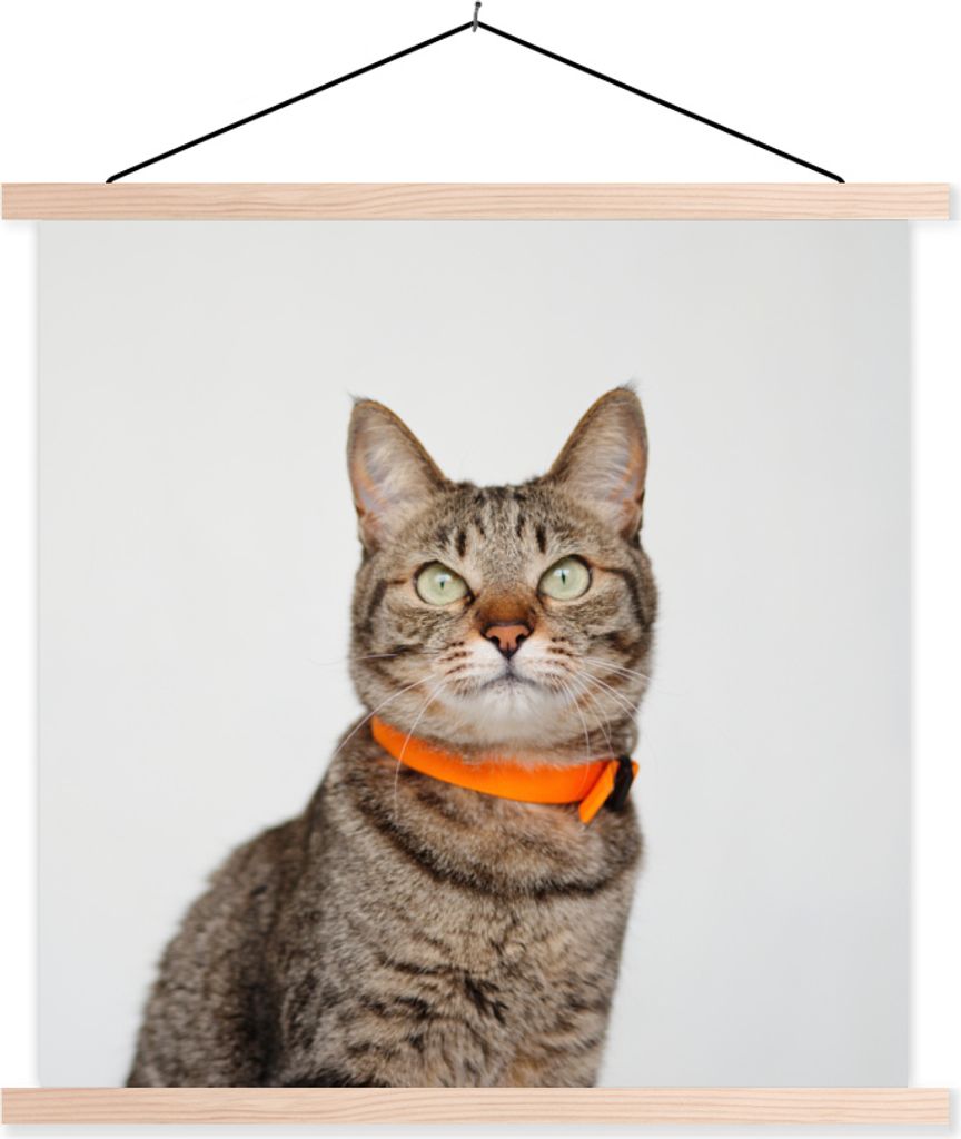 MuchoWow Textilposter Katze - Halskette - Orange - Mädchen - Kinder - Jungen - Kinder 60x60 cm mit holzfarbenen Rahmen - Wanddekoration