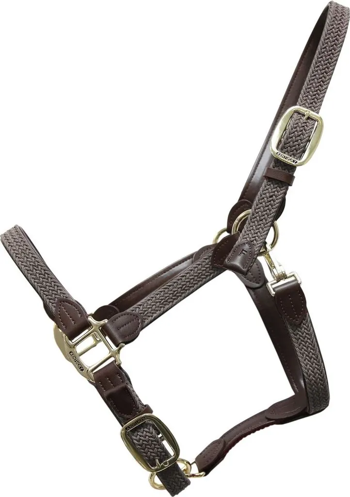 Cavezza da Scuderia Kentucky Nylon Grigio: Comfort e Stile