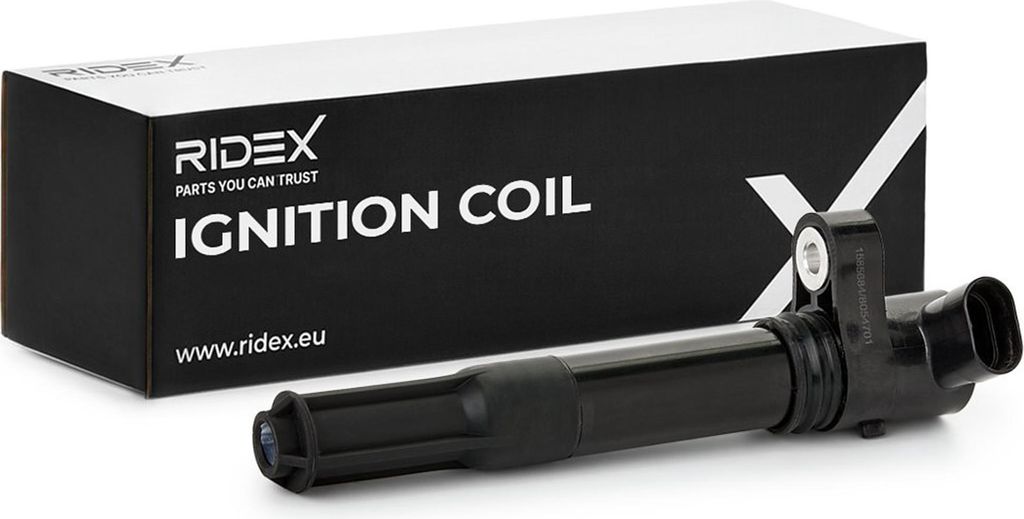 RIDEX 689C0009 Zündspule für OPEL COMBO Kasten/Kombi (X12) Combo Combi / Tour (X12) für FIAT Ducato Kastenwagen (250, 290) PANDA (169) 500 (312)