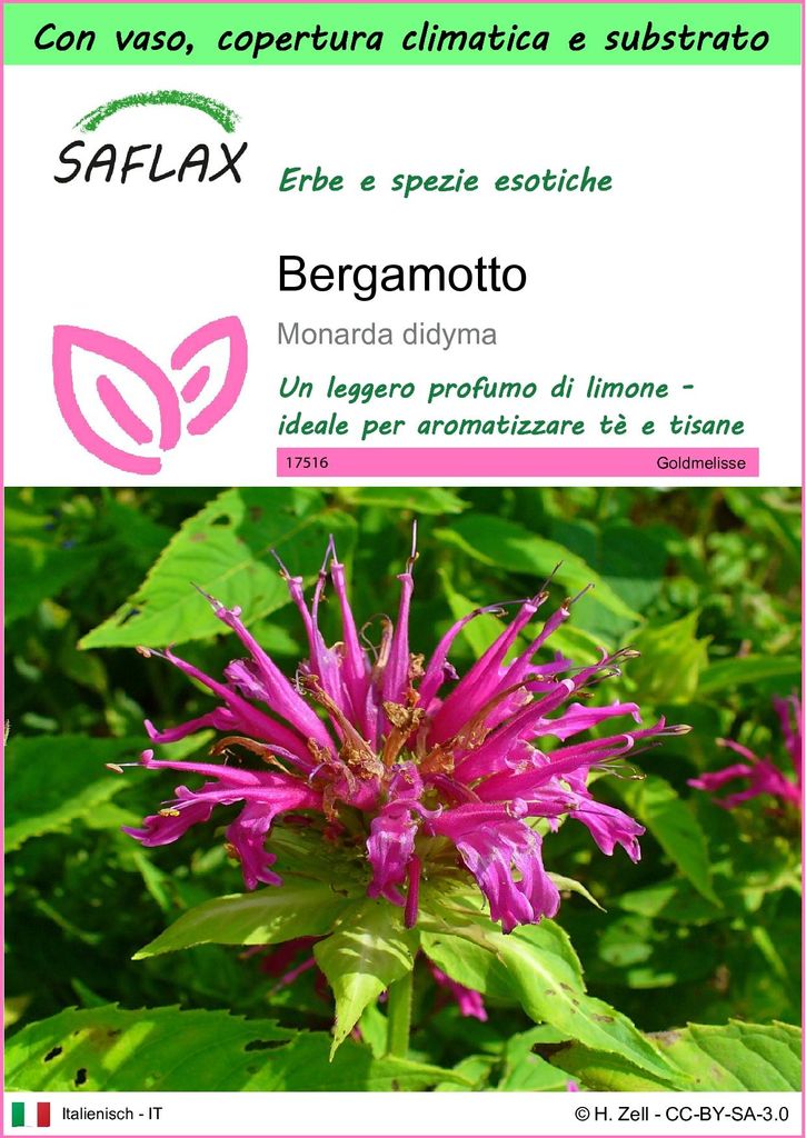 SAFLAX Garden to go - Bergamotto - 20 semi - Monarda Immagine del prodotto 