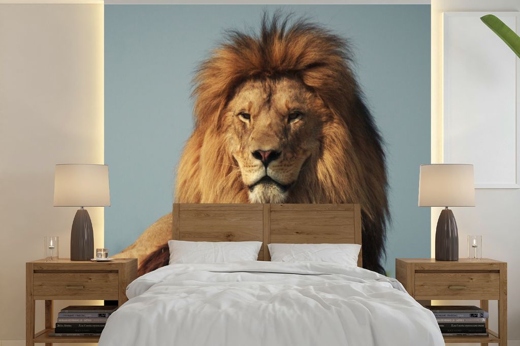 MuchoWow Fototapete für Wohnzimmer oder Schlafzimmer Wandtapete Vinyl Motivtapete Löwe - Felsen - Porträt - 300x300 cm - Wanddekoration