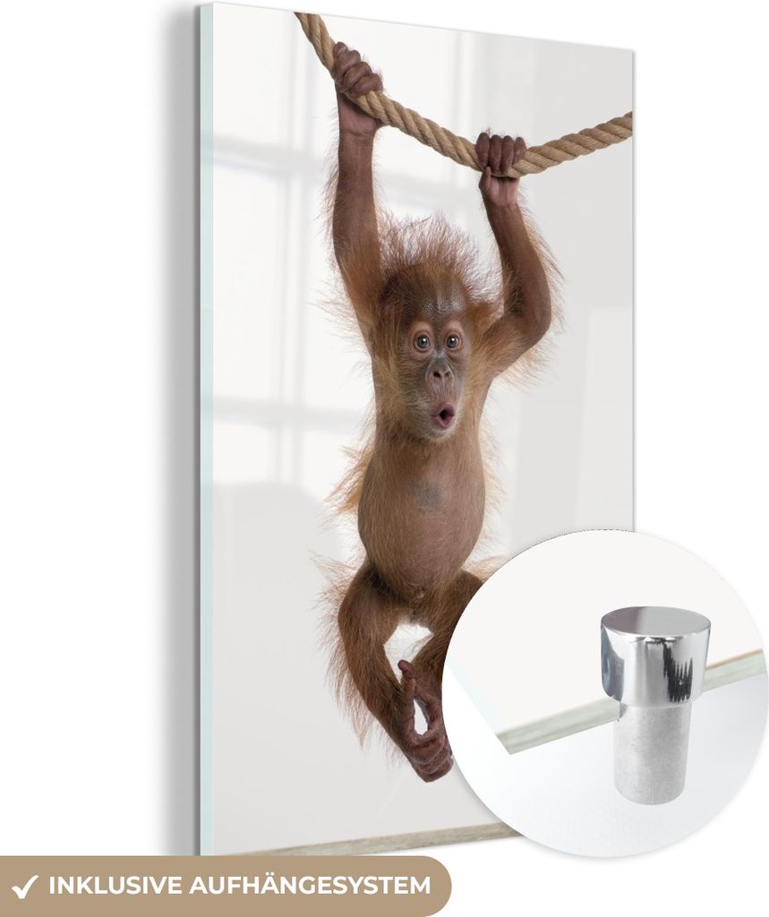 MuchoWow Glasbilder - Bilder auf Wandbild - Foto auf Glas Affe - Tiere - Kinder - Orang Utan - Jungen - Mädchen 40x60 cm Wanddekoration aus Glas -...
