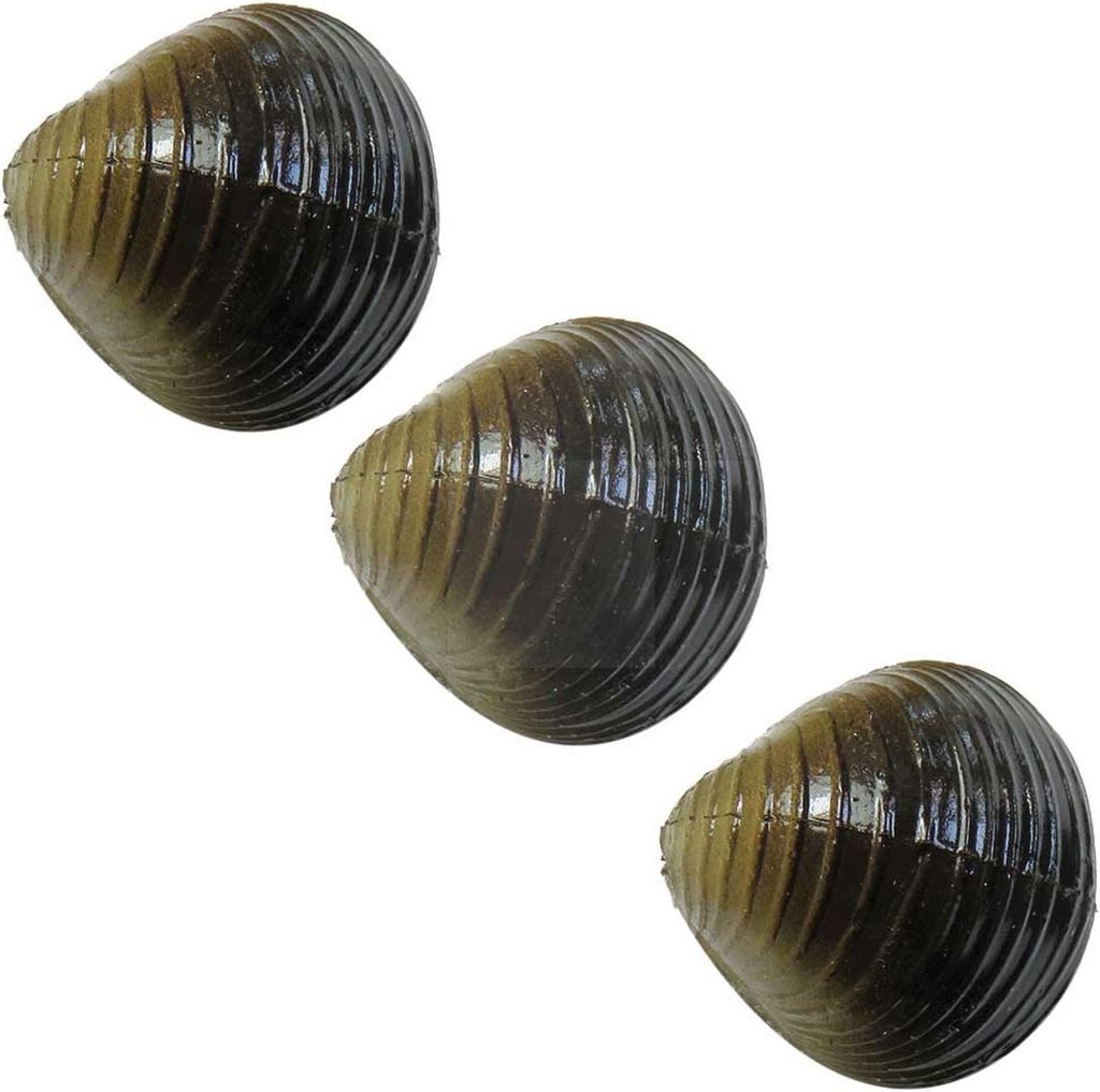 Angelköder für Karpfen künstliche Muscheln 1
