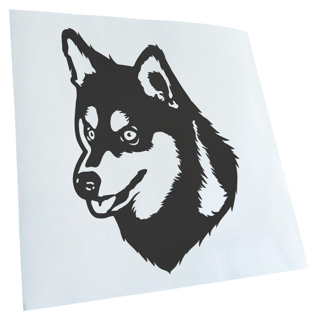 Kiwistar - Autoaufkleber - Alaskan Klee Kai Hund - Dunkelgrau - 60x43cm - Aufkleber für Auto, Laptop, Fahrrad, LKW, Motorrad mehrfarbig JDM Decal ...