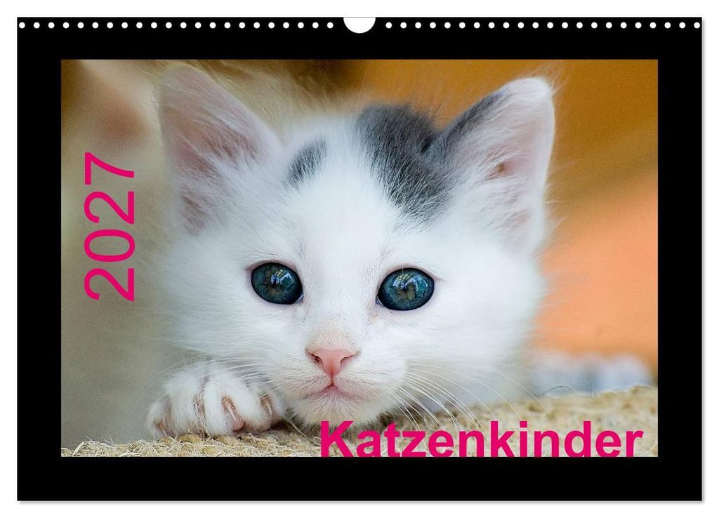 Katzenkinder (Wandkalender 2027 DIN A3 quer), CALVENDO Monatskalender