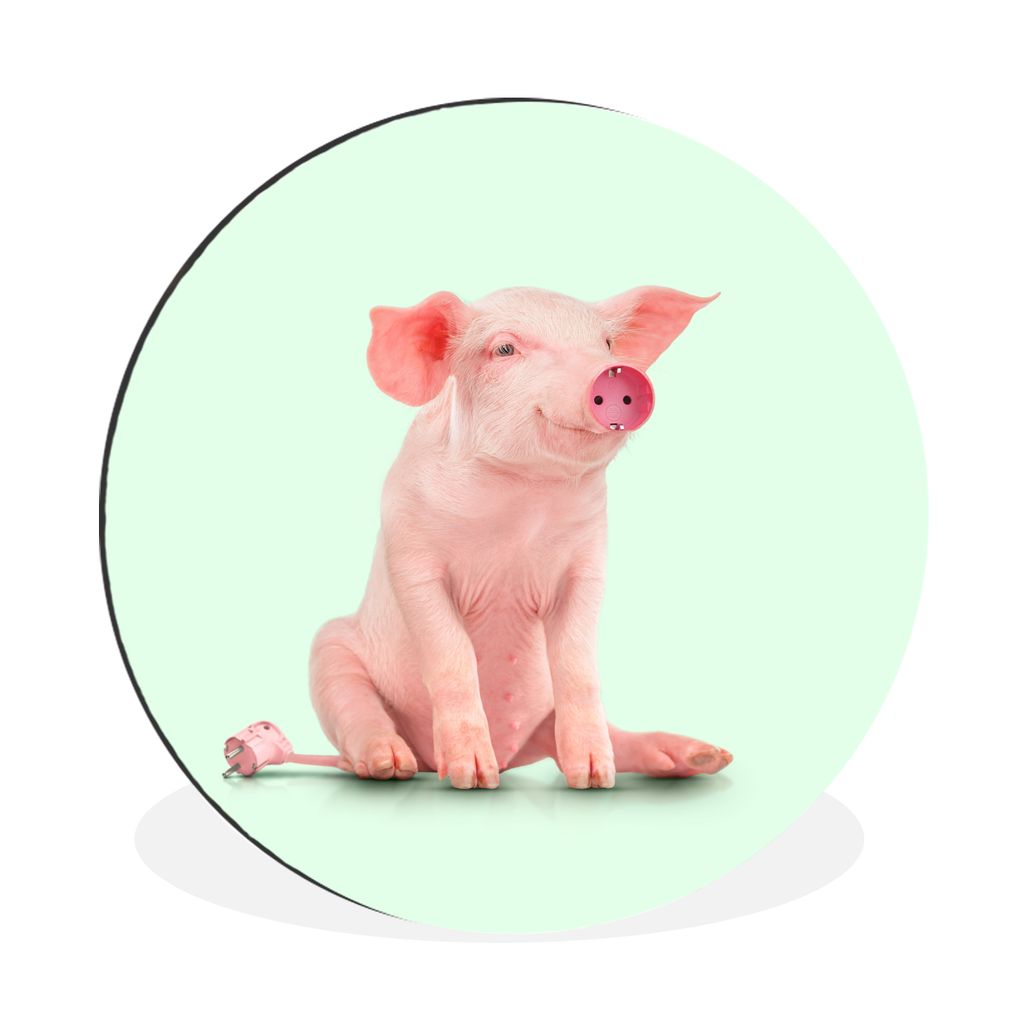 MuchoWow Aluminium Wandkreis Schwein - Rosa - Sockel - Tiere Ø 30 cm Wanddeko Modern Wohnzimmer - Wand Bild - Wohnzimmer - Runde Bilder - Alubil...