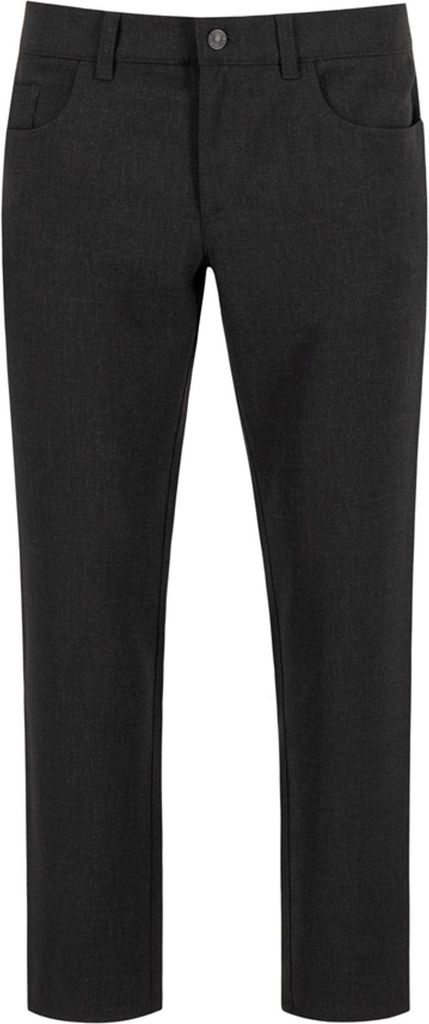 Alberto - Herren 5-Pocket Jeans PIPE - Ceramica (8577 0039), Größe:W31, Länge:L30, Farbe:Anthracite (995)