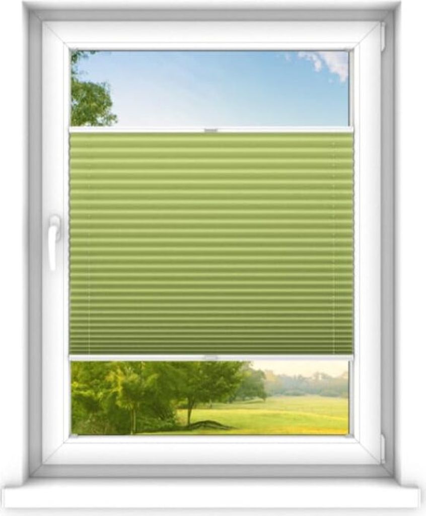 time4blinds - Plissee Rollo, Faltrollo, Sichtschutz, Dunkler Jasmin, 100x60cm