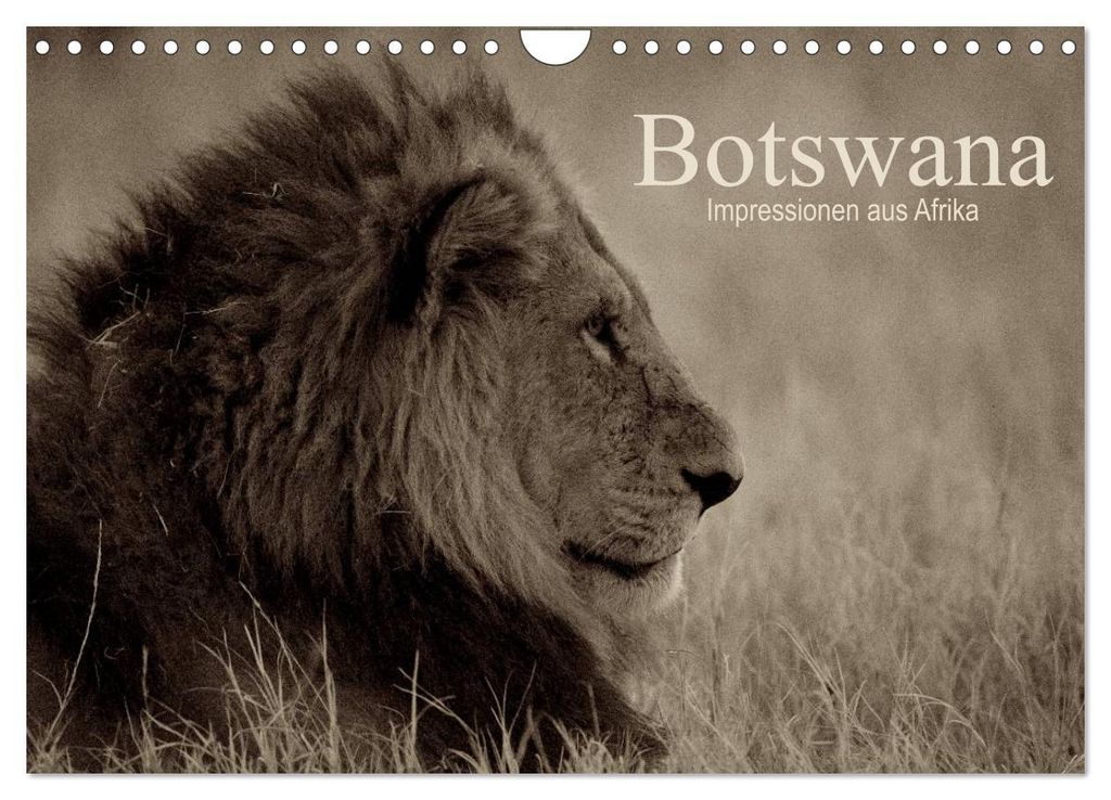 Botswana – Impressionen aus Afrika (Wandkalender 2027 DIN A4 quer), CALVENDO Monatskalender