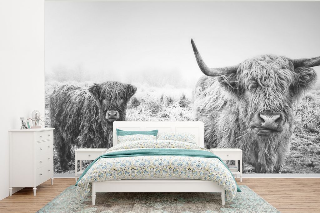 MuchoWow Fototapete für Wohnzimmer oder Schlafzimmer Wandtapete Vinyl Motivtapete Schottische Hochlandbewohner - Licht - Himmel - Natur - 375x28...
